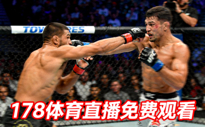 综合格斗MMA选手在八角笼内对决，178体育直播免费观看